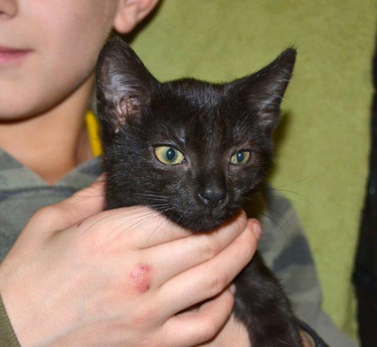 Księżniczka Sisi